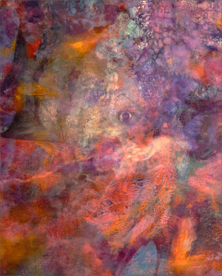19 IN THE DEPTHS by Belinda Wilson