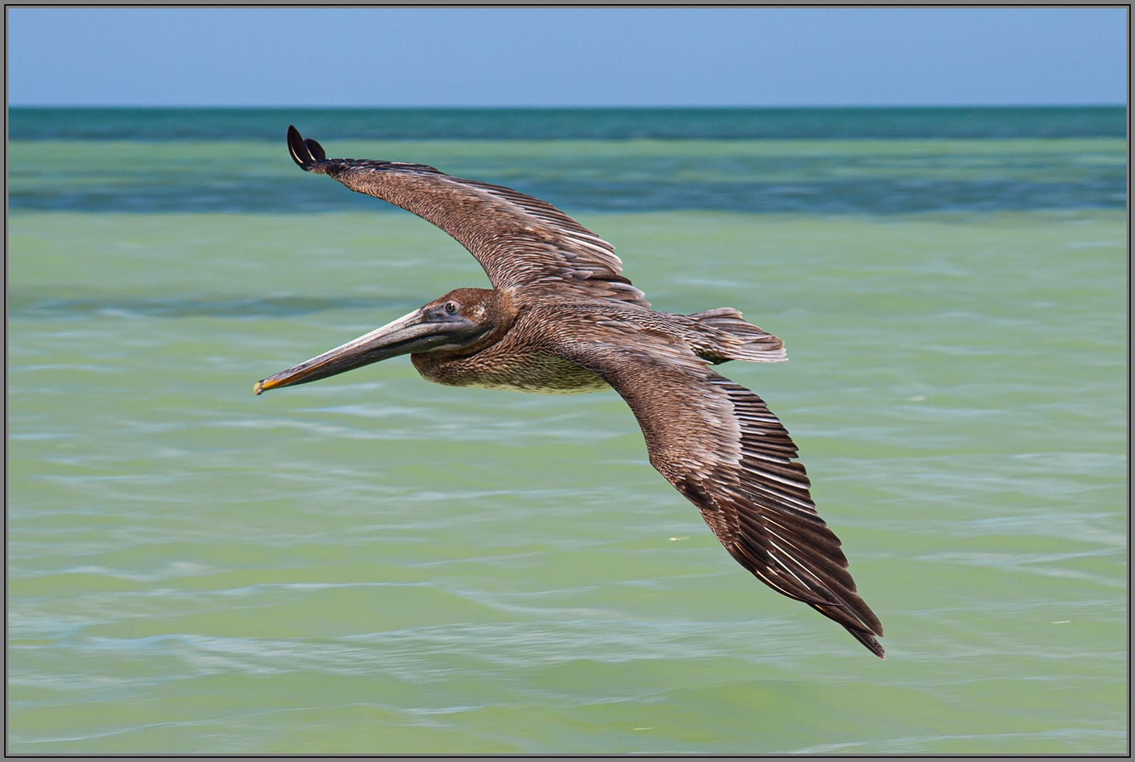19 COASTAL PATROL by Peter Gibbs