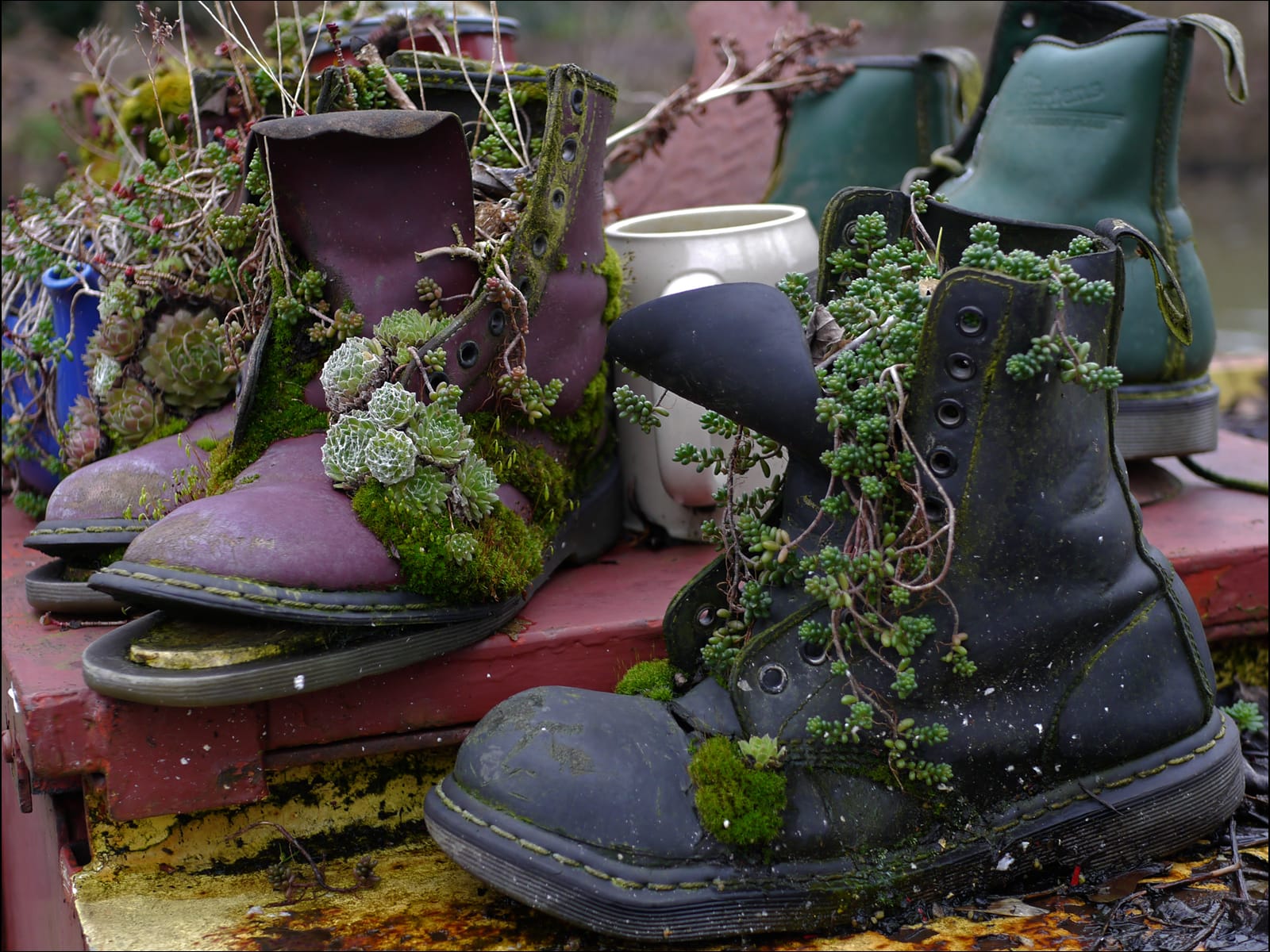 20 OLD BOOTS by Catherine Elliott